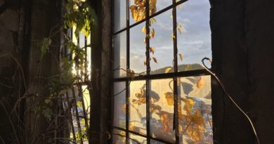 清水沢アートパワープラント、2025年の公開を終了しました 清水沢アートパワープラント、2025年の公開を終了しました